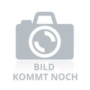 Richter RIDA-Bauschraube mit Bohrspitze 35 mm phosphatiert